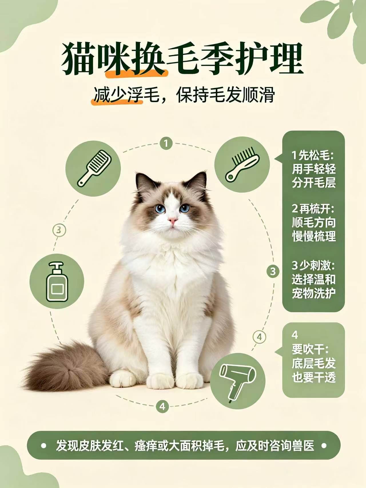 猫咪毛发护理的5个核心技巧(顺滑防掉毛、不打结)
