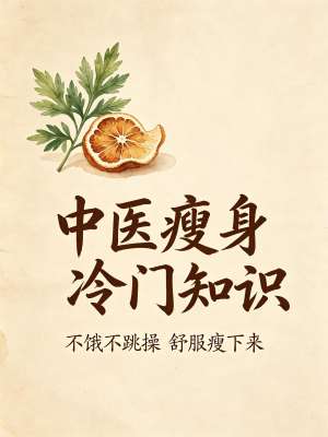 中医减肥基础知识、最新趋势分析与未来展望(2026完整版)