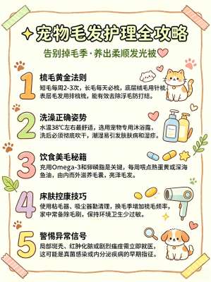 狗狗毛发护理5个核心技巧|爆毛、柔顺、不打结、少掉毛