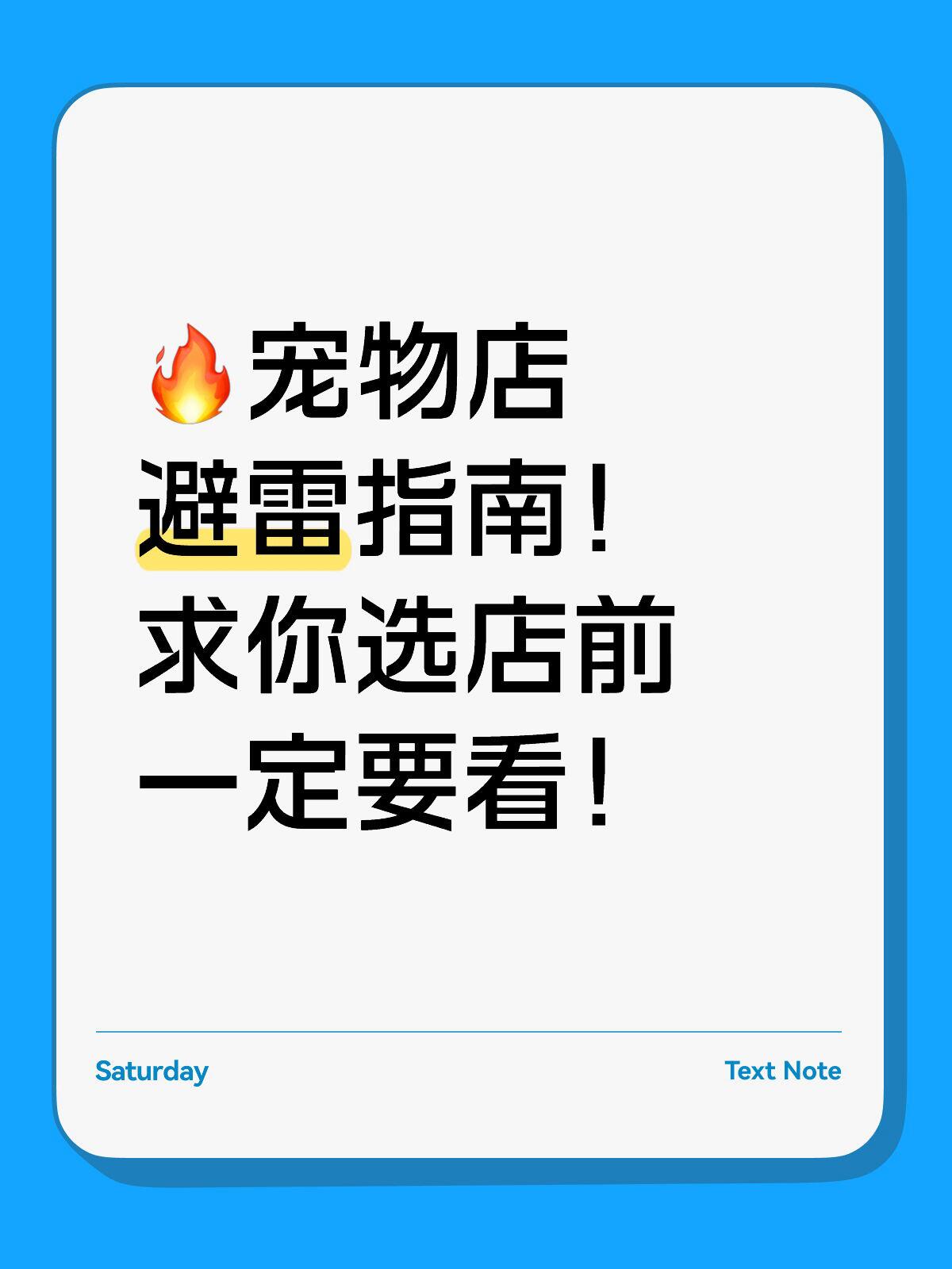 选择宠物美容店全套注意事项|新手避坑完整指南