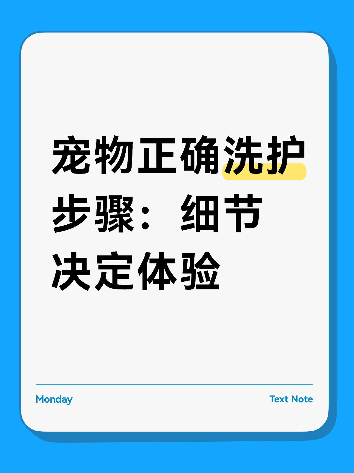 在家宠物美容完整指南|零基础洗护+修剪+护理全流程
