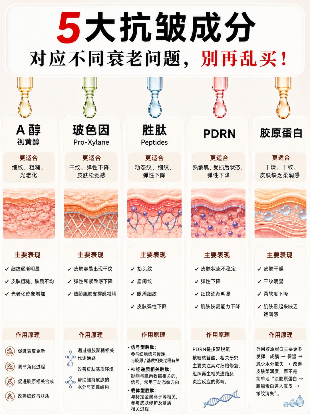 抗皱护肤性价比深度分析|专家全套解决方案