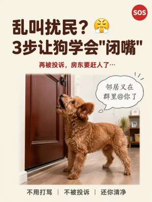 狗狗乱叫彻底纠正方法|零打骂、科学训犬、根治乱吠扰民